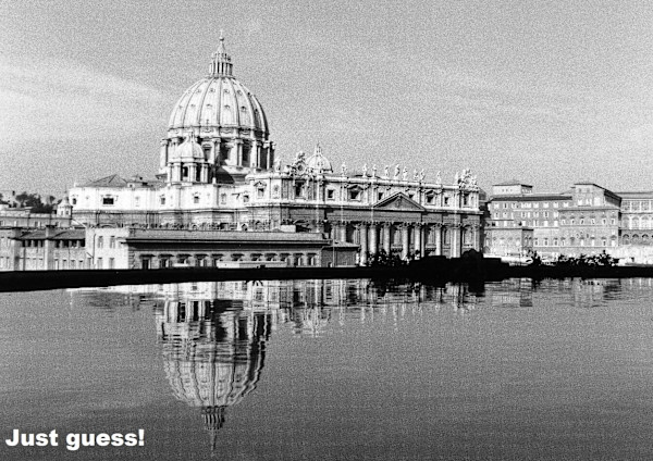 Just Guess by Cardinal Prospero Grech