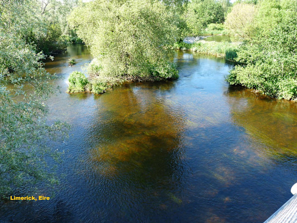 Limerick, Eire by Cardinal Prospero Grech