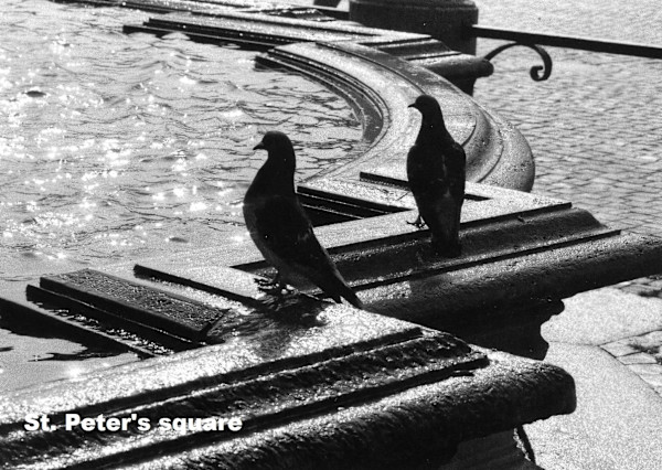 St. Peter's Square 1 by Cardinal Prospero Grech