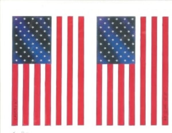 Two Flags by John Castagno
