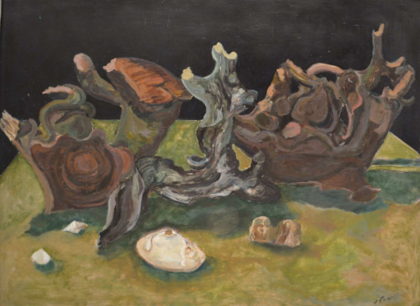 Driftwood With Shells by Hugo Storelli