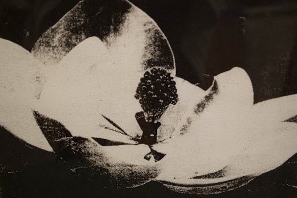 Water Lily by Mili Dunn Weiss, Image 1.