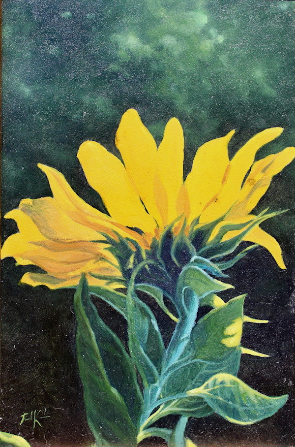 A Sunflower by David Kooharian