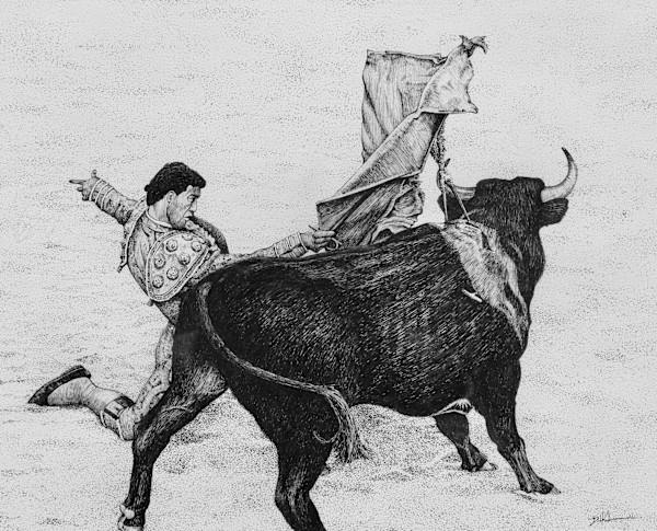 The Matador by David Kooharian