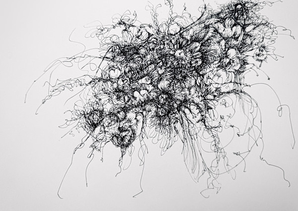 Bouquet of the Sea by Darcy Johnson, Image 1.