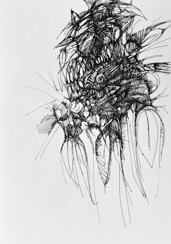 Bundle by Darcy Johnson, Image 1.