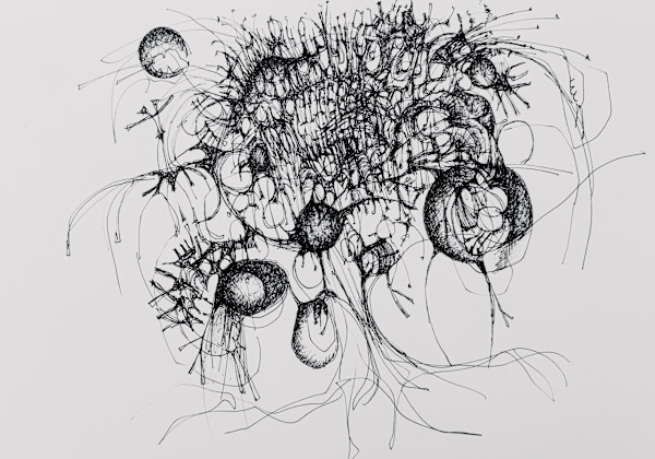 Floating by Darcy Johnson, Image 1.