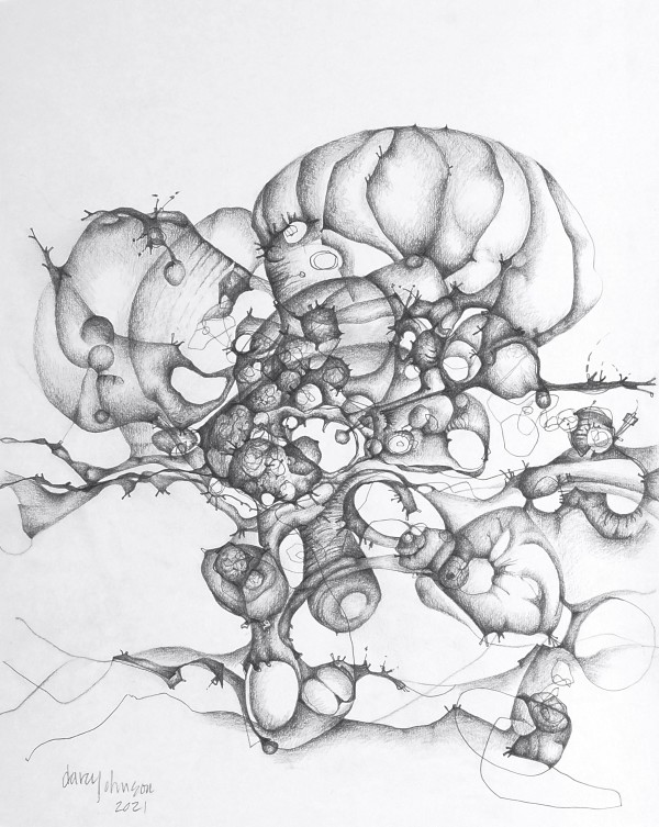 Fungi by Darcy Johnson