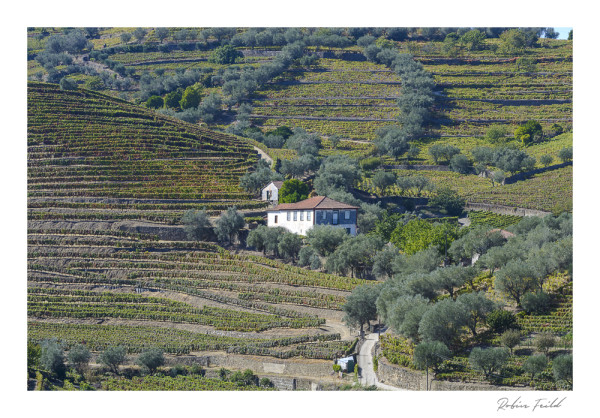 Colours Of The Douro V
