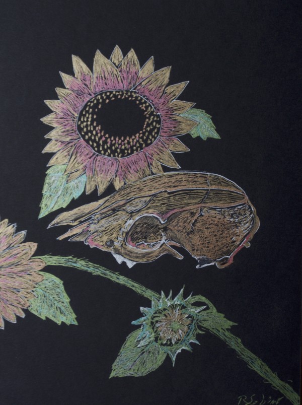 Sunflowers with Skulls by Rebecca Sobin