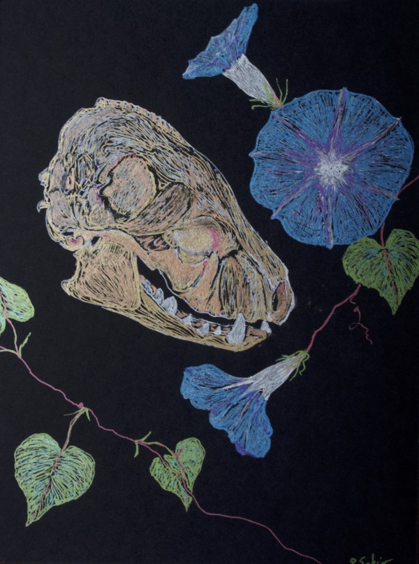 Morning Glory and Death Mask by Rebecca Sobin
