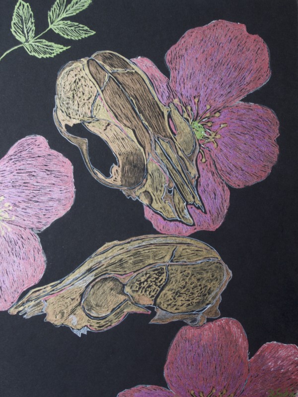 Wild Rose and Skulls by Rebecca Sobin