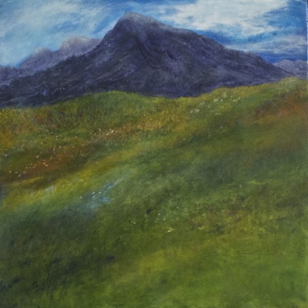 Mountain Meadow by Rebecca Sobin