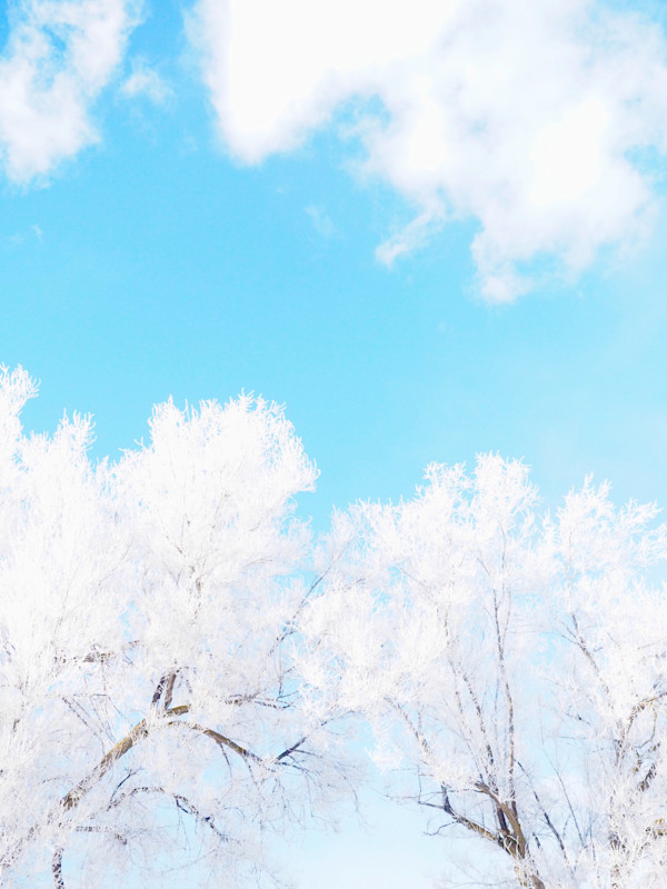 Winter Light by Rebecca Sobin