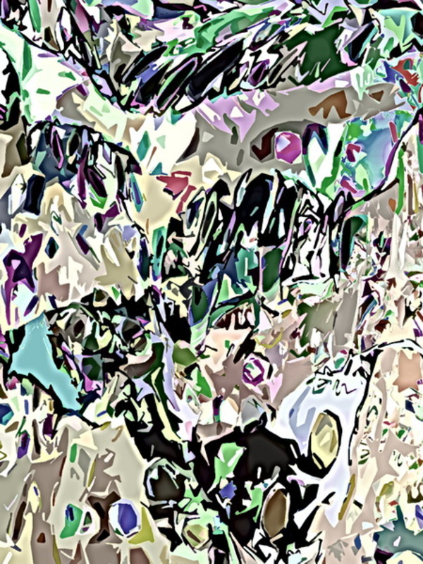 untitled  (2026 01 28 06) by Michael L Williams, Image 1.