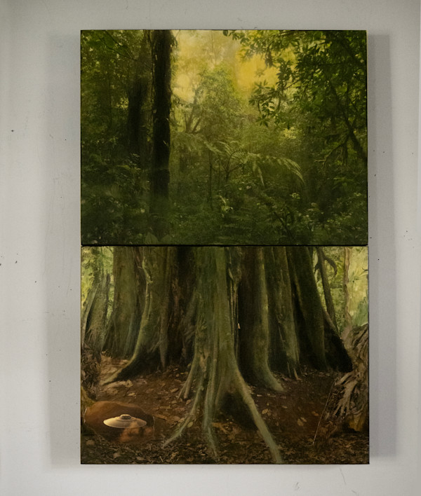 Emerald Land by Lynda Frese