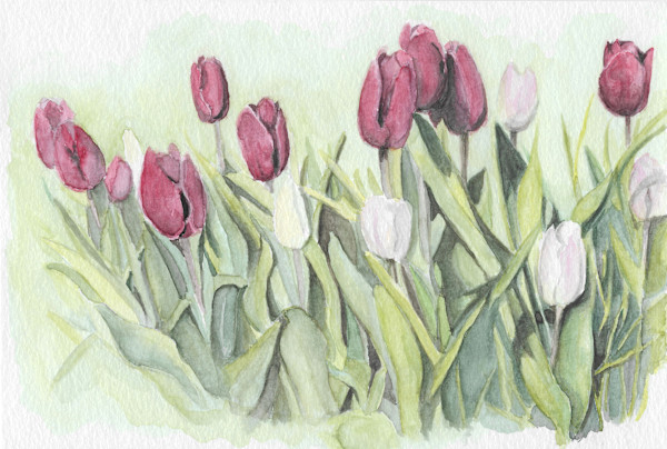 Poppies by Ally Tate, Image 1.