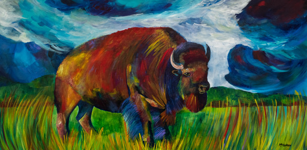 Montana Bison by Allison McGree