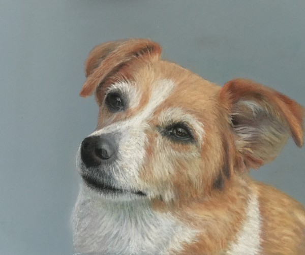 Lilly by Lorraine Pichugin