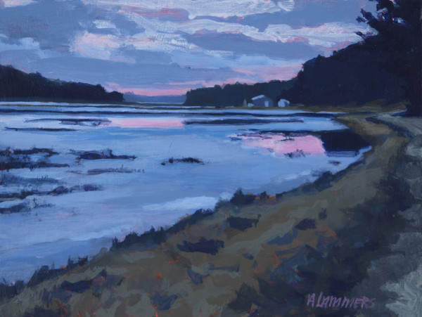 February Sunset - bogs by Abby Lammers