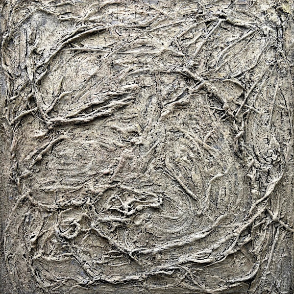 Collateral Damage: After the Storm by Donald Bracken