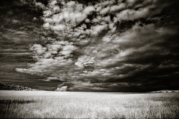 Macricostas Cold Front by Wendy Costa