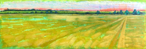 Light Across the Cornfields by Sally Bramble