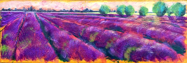 Light Across the Lavender by Sally Bramble