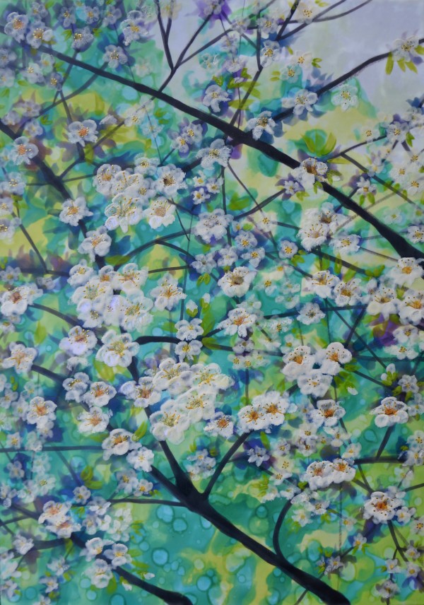 Blooming Blossom 5 by Sally Bramble