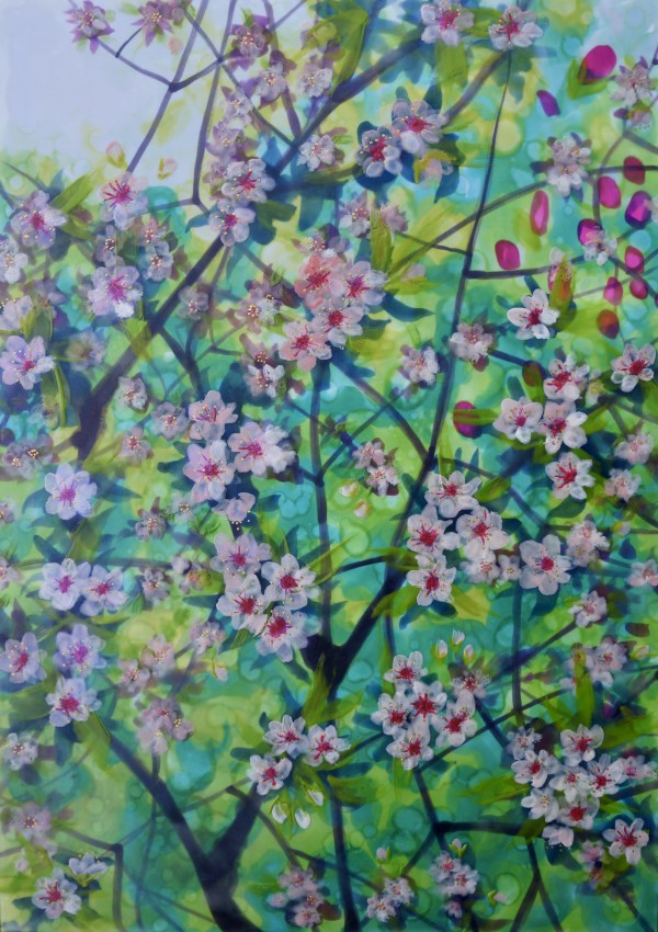 Blooming Blossom 6 by Sally Bramble
