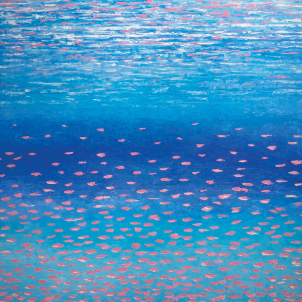 Reef Symphony by Ahmed Amir