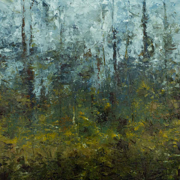 Forest by Ahmed Amir