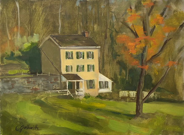 Gibbons House Hagley Museum by Cary Galbraith, Image 1.