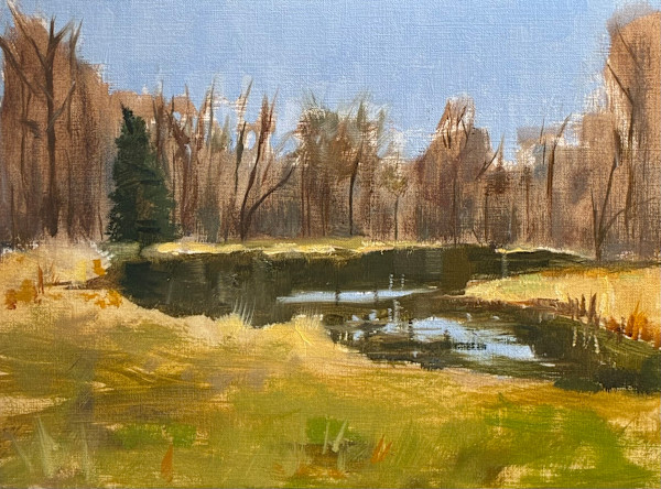 Jones Park Struble Trail by Cary Galbraith, Image 1.