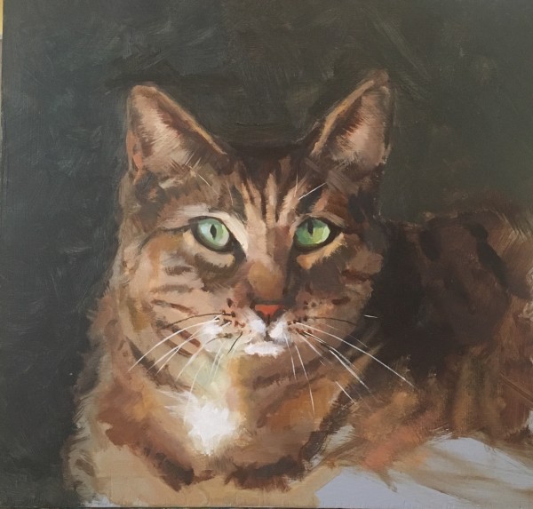 Nelson the Tabby by Cary Galbraith