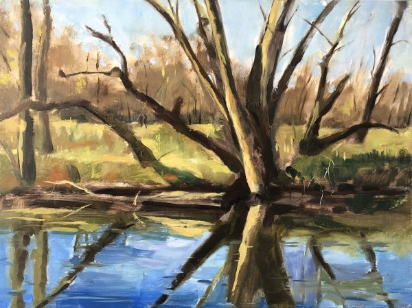 Brandywine River 2 by Cary Galbraith, Image 1.