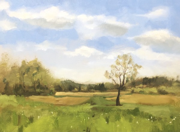 Sugartown Strawberry Farm by Cary Galbraith