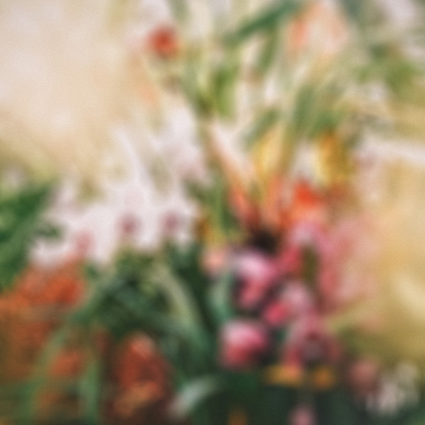 Hillwood in July by Redeat Wondemu, Image 1.