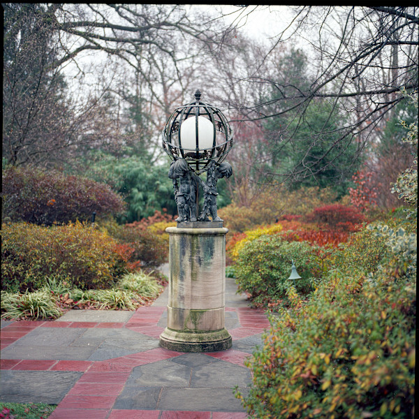 Hillwood in November by Redeat Wondemu, Image 2.