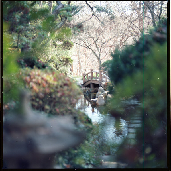 Hillwood in May by Redeat Wondemu, Image 8.