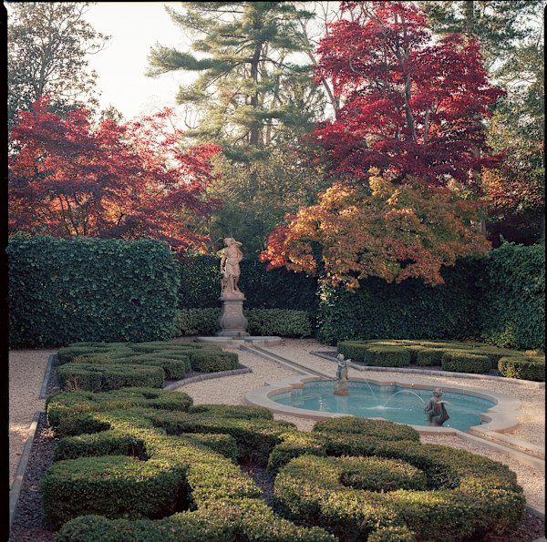Hillwood in September by Redeat Wondemu, Image 11.
