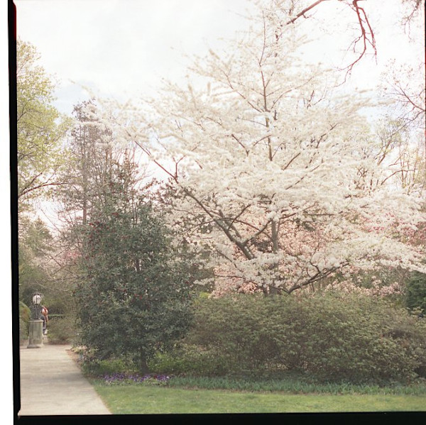 Hillwood: March by Redeat Wondemu, Image 12.