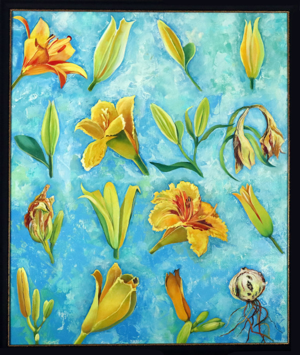 Lily Season by Catherine Twomey