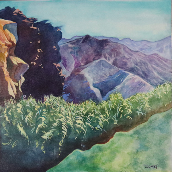 Valley Of The Dancing Palms by Catherine Twomey, Image 1.