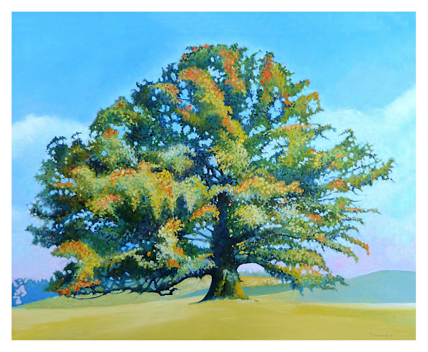 Thomas Jefferson's White Oak Tree On The Way To James Madison's For Afternoon Tea (9 X 9") by Catherine Twomey, Image 1.