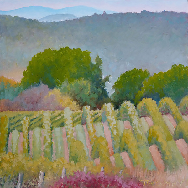 Barboursville Vineyards by Catherine Twomey