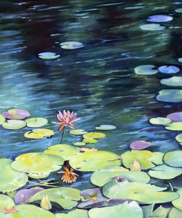Bass Pond Water Lilies by Catherine Twomey