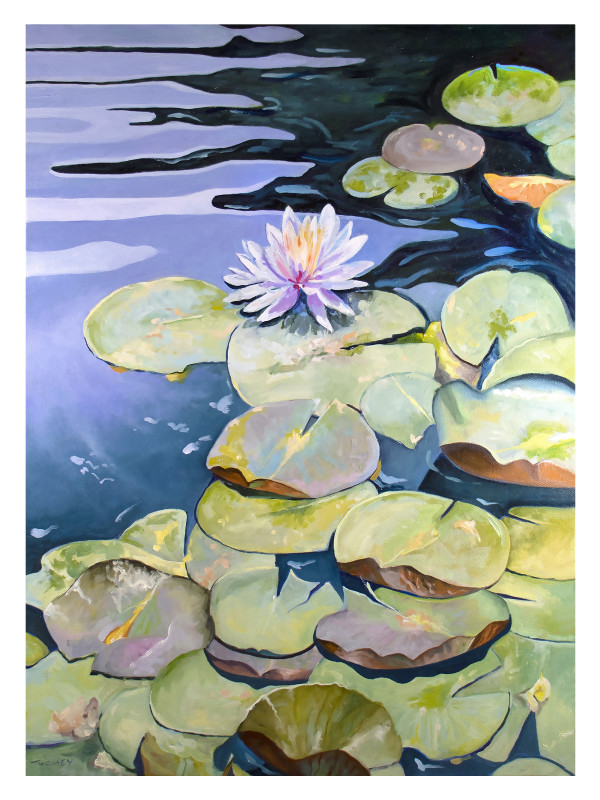 White Lily Bass Pond Biltmore by Catherine Twomey