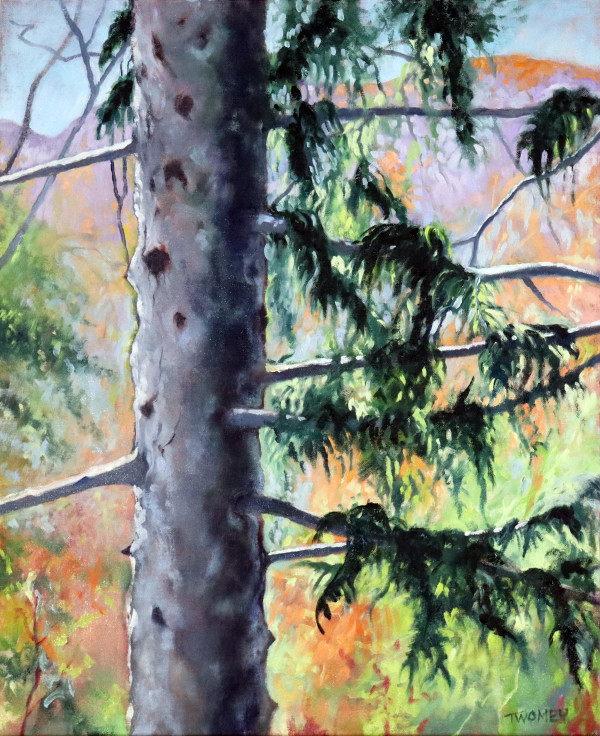 Birds Eye View Summer Spruce by Catherine Twomey