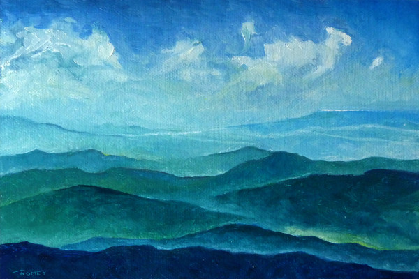 Blue Ridge Clouds Sheep by Catherine Twomey